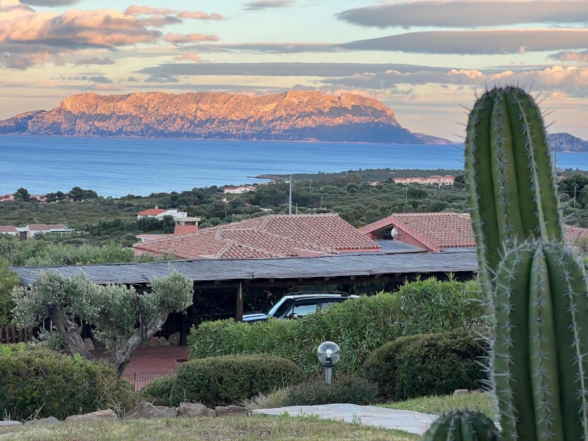 Villa A Golfo Aranci Con Vista Su Tavolara Marinella  Eksteriør billede